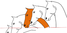 Trust-your-Horse - Ein kleiner technischer Vergleich